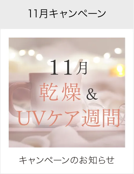11月キャンペーン
