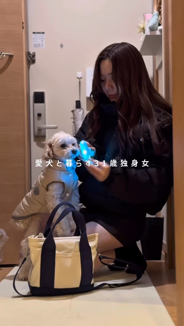 しごおわの愛犬との暮らしを撮ってみた📹
仕事終わって速攻犬吸いできるのたまらん幸せ🤤♡
この前久しぶりに電車乗ったら
匂いすっごいきつい人いたんだけど
ふわっと香るくらいがちょうど良くない？🥺
ラコルベイユのオーキッドの香りは好きすぎて
柔軟剤とミストをセットで使うんだけど
ふわっと上品に香ってくれるから
友達にも「それどこの！？」って聞かれるほど🐰🫧
オーガニックだから敏感肌の人でも使えておすすめだよん！

#柔軟剤 #ファブリックミスト #敏感肌 #ラコルベイユ #PR