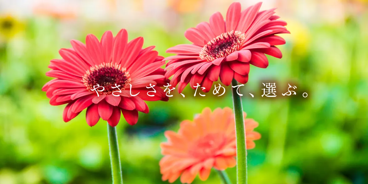 10月定期購入感謝祭